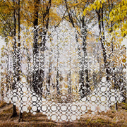 Auctus Limited Edition Print